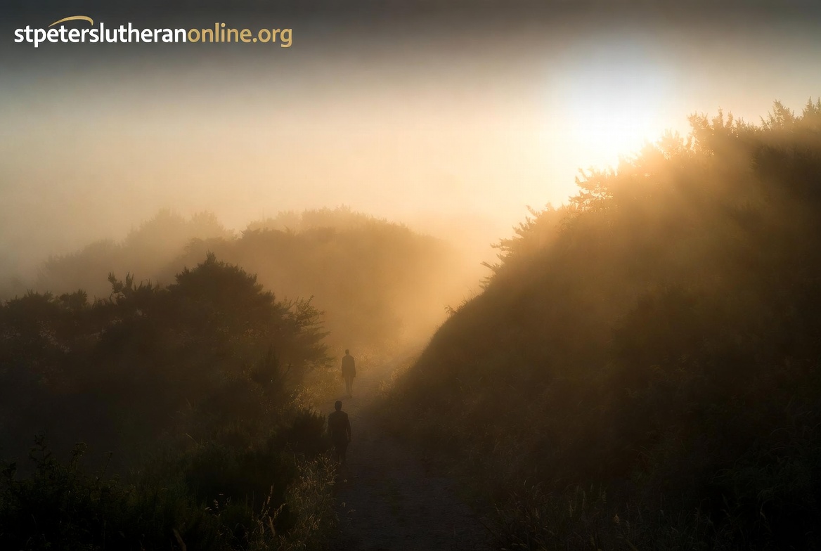 Menemukan Panggilan Hidup: Mencari Makna
